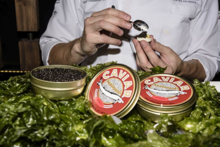 Caviar Ostreta Gourmanité